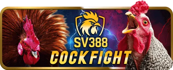 Biểu đồ minh họa các loại Cookie được sử dụng bởi 789p30 nhà cái để bảo vệ quyền riêng tư